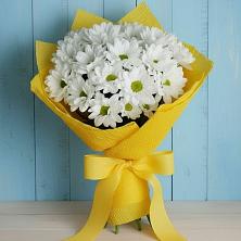 Букет цветов из:  Хризантемы в Мглине