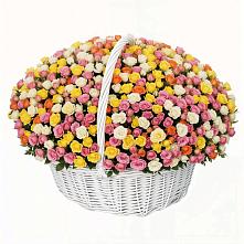 Премиум букет из: Розы в Мглине