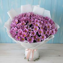 Букет цветов из:  Хризантемы в Мглине