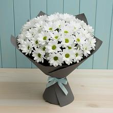 Букет цветов из:  Хризантемы в Мглине