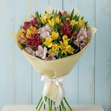 Букет цветов из:  Альстромерии #REPLACE_PRED# Мглине