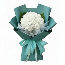 Букет цветов из:  Гортензия в Мглине